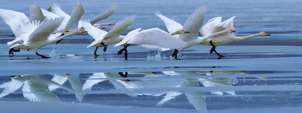 image001.jpg image001.jpg