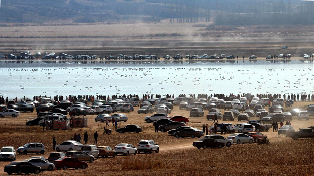 image003.jpg image003.jpg