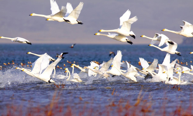 image005.jpg image005.jpg