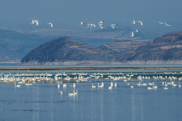 image007.jpg image007.jpg