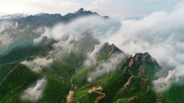 image013.jpg image013.jpg