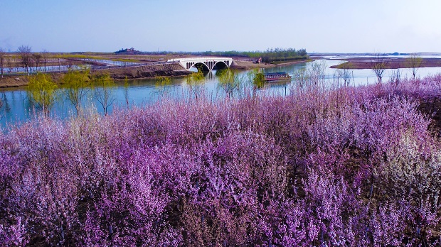 ɳ������ (3).jpg