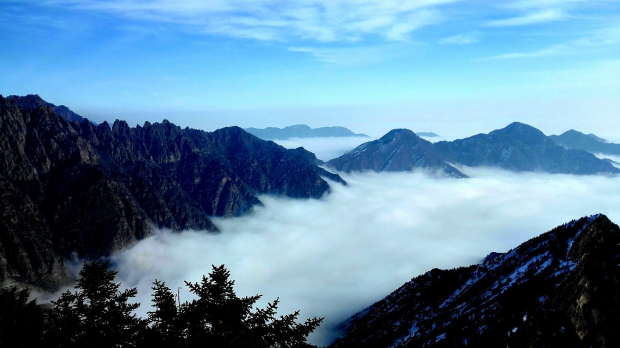 Honeyview_image003.jpg Honeyview_image003.jpg