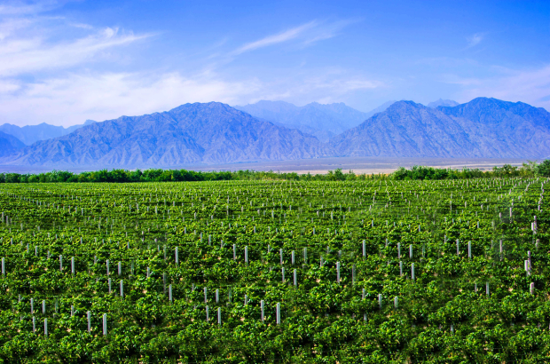 image001.jpg image001.jpg