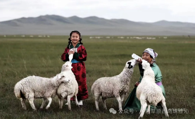 640 (11).jpg 640 (11).jpg