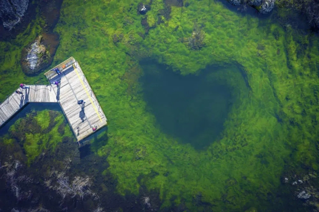 image009 (2).jpg image009 (2).jpg